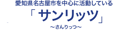 有限会社サンリッツ